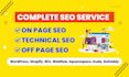 complete onpage SEO for wordpress, shopify wix webflow squarespace duda godaddy
