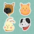 draw your pet into a cute kawaii character