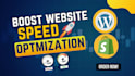 do wordpress and shopify speed optimization