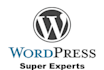 make any wordpress website
