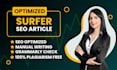 do SEO article writing, blog post writing, website content writing, copywriting