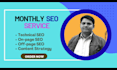 provide monthly SEO service to improve ranking and traffic