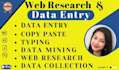 do data entry, copy paste and web research work perfectly