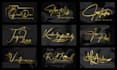 design a luxury handwritten signature logo
