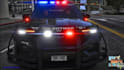 troubleshoot any mods, lspdfr for gta v or fivem for you