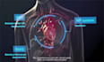 do 3d medical animation video 3d animation explainer video 3d surgery animation