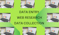 do data entry and web research as a virtual assistant