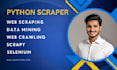 expert python web scraping and data extraction emails leads google maps