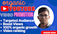 do targeted audience youtube video promotion