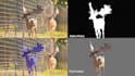 do rotoscoping, vfx, chroma keying and cleanup professionally