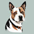draw illustration pet portrait vector art