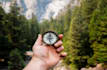 help you identify your purpose in life