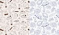 create vector seamless pattern