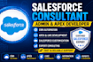 be your salesforce consultant, admin and apex developer expert