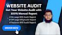 seo website audit report with premium tools
