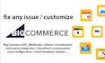 fix any issues on bigcommerce