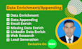 do data enrichment, data appending and lead research