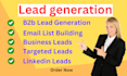 provide b2b lead generation, business leads, linkedin leads,