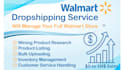 manage your walmart dropshipping, wfs virtual assistant
