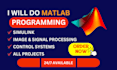 do matlab programming, image,signal processing, control system and simulink task