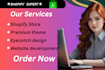 design shopify dropshipping store shopify design website shopify store design