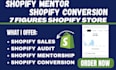 be your shopify mentor promotion manager to boost your store sales