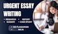 do urgent essay writing as an essay writer