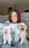 create golden doodle dog ugc for pet products