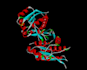 conduct the molecular docking and analysis