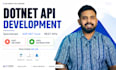 provide dotnet API development