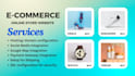 develop professional ecommerce solutions
