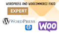 integrate API wordpress woocoomerce facebook pixel setup conversation API