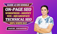 do expert on page website SEO optimization