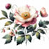 craft a beautiful botanical or floral illustration