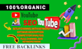 best youtube video SEO for ranking organically