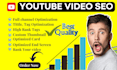 be your youtube video seo expert for video ranking