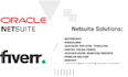 provide netsuite customizations and custom integration solutions