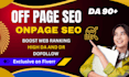 rank your website with professional on page and off page SEO