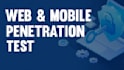 do a penetration and vulnerability test on your website