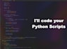 code your python scripts