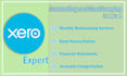 do accounting and bookkeeping using xero