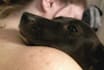 teach you how to communicate with animals telepathically
