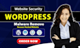 secure and protect your wordpress website from hackers and threats