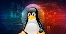 develop and optimize your database, bash, PHP scripts, and server monitoring