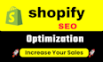 advance shopify seo for google top ranking