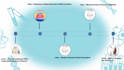 create biology school educational and research presentation and pitch deck