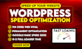 do wordpress speed optimization in just 4 hours