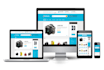 develop your fully functional ecommerce website