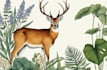 draw an animal and botanical illustration