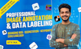 do  image annotation, data labeling, bounding box and segmentation